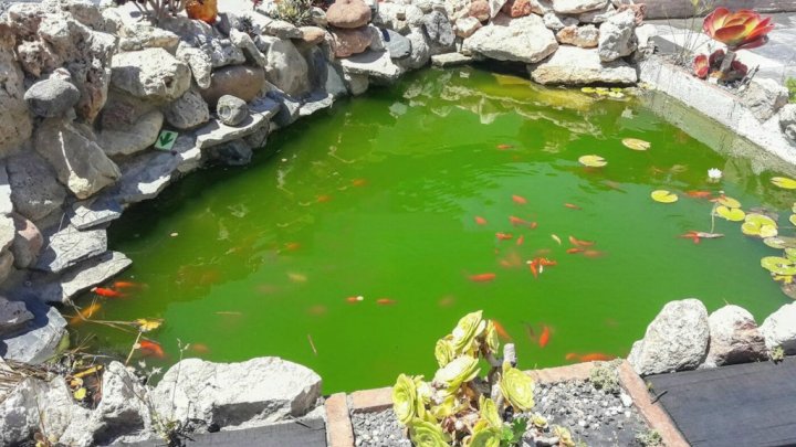 Casa de vacaciones en Miami Playa, en la Costa Dorada, con piscina privada