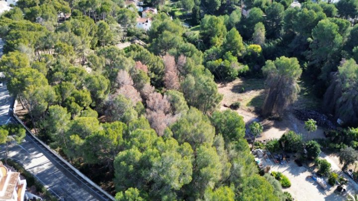 Exklusives Baugrundstück mit spektakulärem Meerblick in Moraira – Costa Blanca