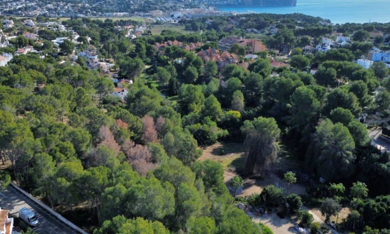 Exklusives Baugrundstück mit spektakulärem Meerblick in Moraira – Costa Blanca