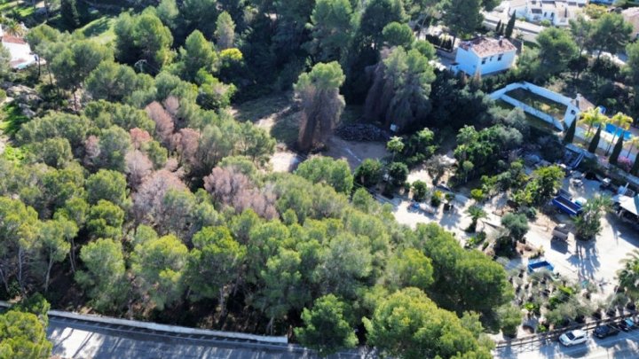 Exklusives Baugrundstück mit spektakulärem Meerblick in Moraira – Costa Blanca