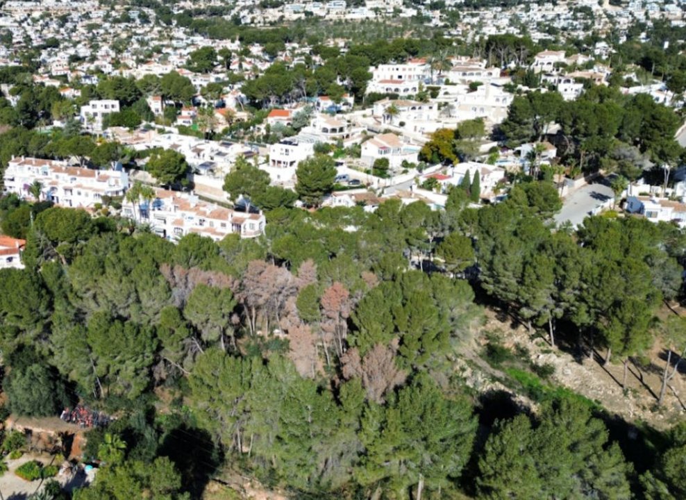 Baugrundstück Moraira Costa Blanca kaufen