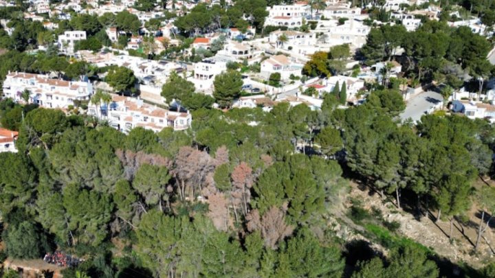 Exklusives Baugrundstück mit spektakulärem Meerblick in Moraira – Costa Blanca