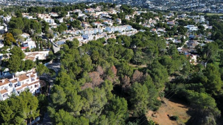 Exklusives Baugrundstück mit spektakulärem Meerblick in Moraira – Costa Blanca
