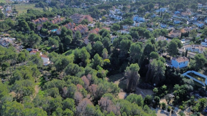 Exklusives Baugrundstück mit spektakulärem Meerblick in Moraira – Costa Blanca