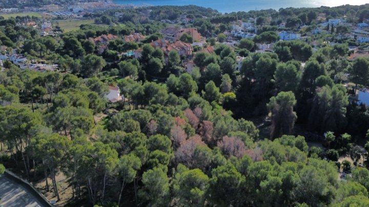 Exklusives Baugrundstück mit spektakulärem Meerblick in Moraira – Costa Blanca
