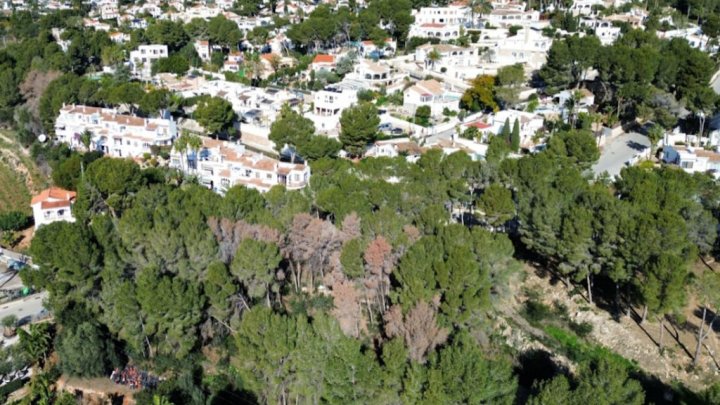 Exklusives Baugrundstück mit spektakulärem Meerblick in Moraira – Costa Blanca