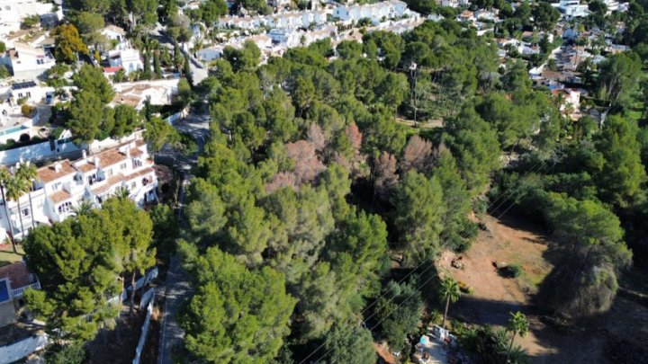 Exklusives Baugrundstück mit spektakulärem Meerblick in Moraira – Costa Blanca