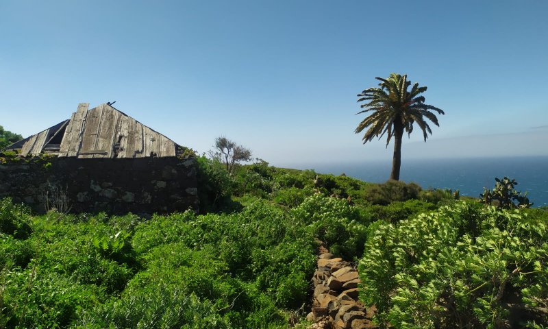 Baugrundstück mit genehmigtem Projekt, Meerblick und gesicherter Rechtslage – Santo Domingo de Garafía, La Palma