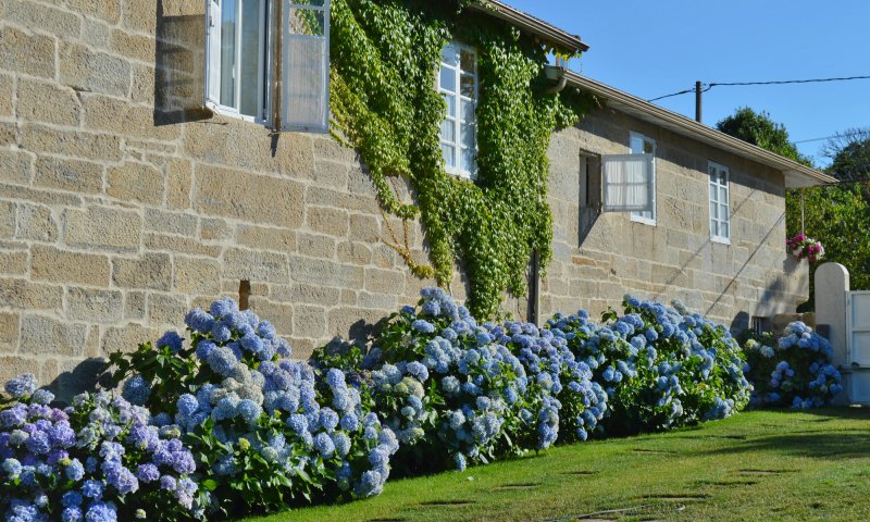 Naturstein-Landhaus in Grünem Galicien – Pool, Garten, Scheune & traditioneller Horreo