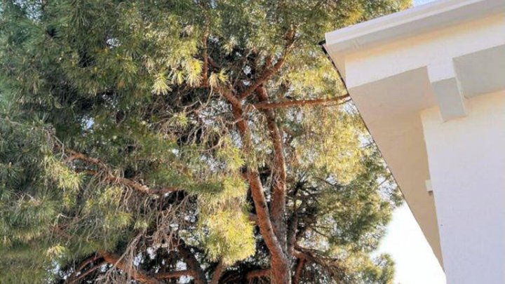 Maison à vendre à Lloret de Mar – Villa avec piscine à Roca Grossa-Serra Brava, Costa Brava
